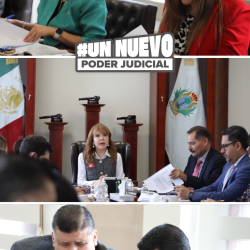 historia 9na sesión del pleno nw1