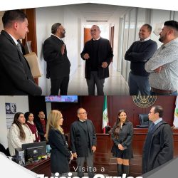 visita juicios orales