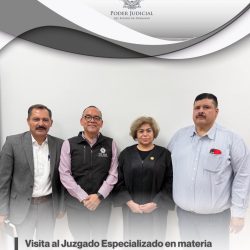 visita juzgado especializado